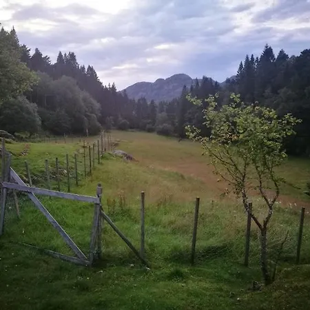 Gripen Gard Campsite *