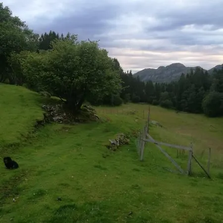 Gripen Gard Campsite Frekhaug